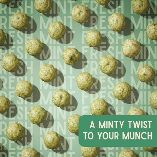 Mint makhana pouch on a green background by Vayu Farms
