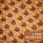 Close-up of caramel flavoured roasted lotus seeds by Vayu Farms