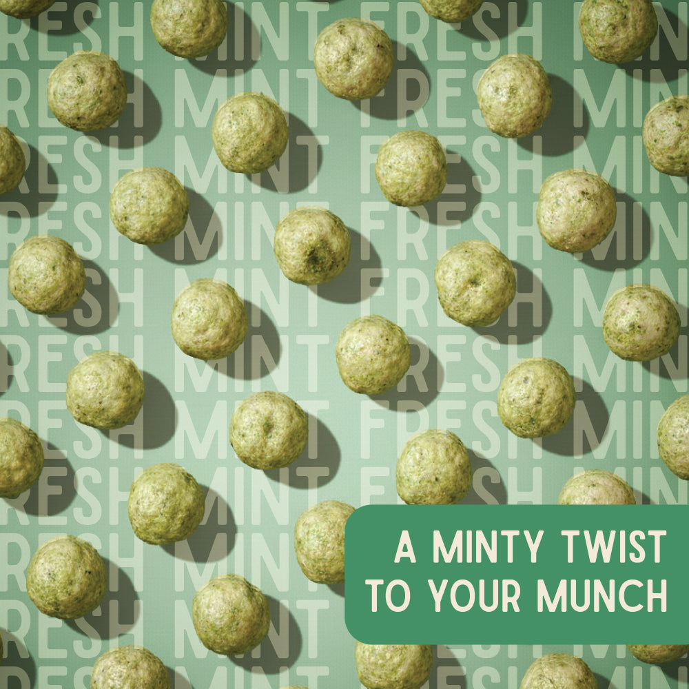 Mint makhana pouch on a green background by Vayu Farms