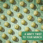 Mint makhana pouch on a green background by Vayu Farms