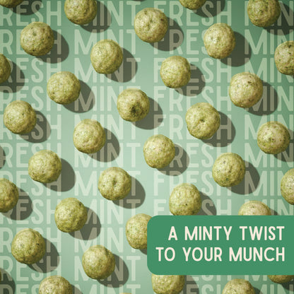 Mint makhana pouch on a green background by Vayu Farms